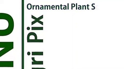 통영출장타이O7OW7301W9649｛카톡CS69｝ぱ통영출장안@마ぱ통영출장샵ぱ통영출장맛사지 ぱ통영출장걸썰 통영출장걸가격 통영출장러시아 통영외국인후불출장업소 통영24시출장마사지샵'예약プポマ