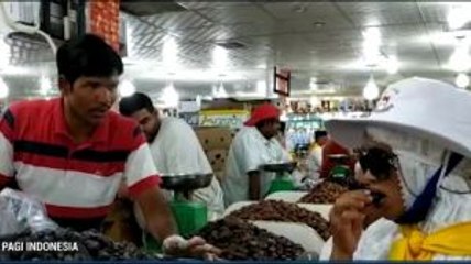 Berburu Kurma di Tanah Suci