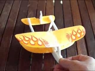 Palm-Z presentation max