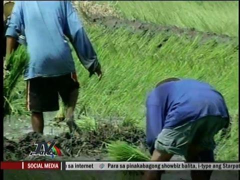 Hacienda Luisita farmers cry foul over referendum