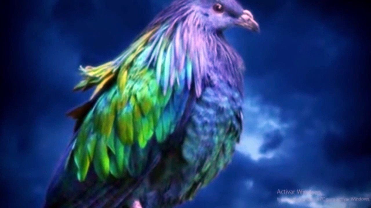 7 Animales Extintos Que Podrían REVIVIR 