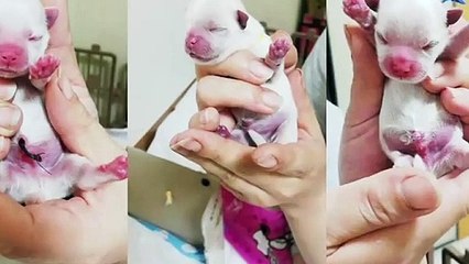 대덕출장타이070c7575c0048｛카톡XN94｝ぱ대덕출장안@마ぱ대덕출장샵ぱ대덕출장맛사지 ぱ대덕출장걸썰 대덕출장걸가격 대덕출장러시아 대덕외국인후불출장업소 대덕24시출장마사지샵'예약ЕЁЖ