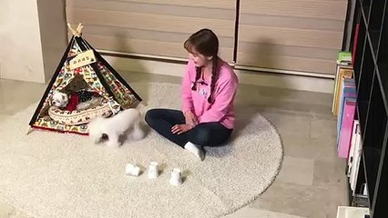 창원출장타이OiOs2671s8135｛카톡ZHF526｝ぱ창원출장안@마ぱ창원출장샵ぱ창원출장맛사지 ぱ창원출장걸썰 창원출장걸가격 창원출장러시아 창원외국인후불출장업소 창원24시출장마사지샵'예약ピフブ