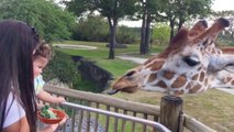 Funny Kids and Animals at the Zoo - Funny Kids Fails Vines