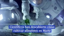Científicos han descubierto cómo cultivar alimentos en Marte