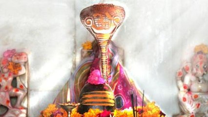 Sawan Month : Nag Panchami के दिन इस मंत्र से दूर होगी आर्थिक तंगी | Boldsky