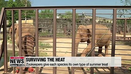 Seoul Zoo comes up with ideas to make sure its animals stay healthy during summer