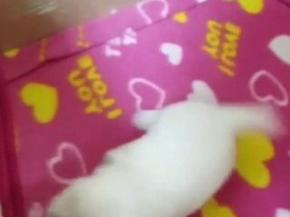 진안출장타이OiOc7362c3210｛카톡BB5858｝ぱ진안출장안@마ぱ진안출장샵ぱ진안출장맛사지 ぱ진안출장걸썰 진안출장걸가격 진안출장러시아 진안외국인후불출장업소 진안24시출장마사지샵'예약ヮワヰ