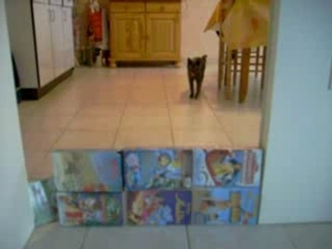 prospere au saut(exploit xD)