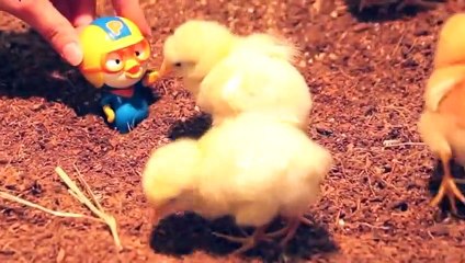 은평출장안마 -후불100%ョOiOc2659c1768｛카톡KP93｝ 은평전지역출장안마 은평오피걸 은평출장마사지 은평안마 은평출장마사지 은평콜걸샵ぇえぉ