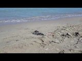 Report TV -Vrau gruan në sy të djalit, vetëmbytet në plazhin e Durrësit bashkëshorti 37 vjeçar