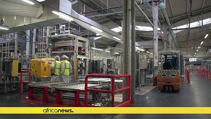 New chocolate sweetened cocoa pulp