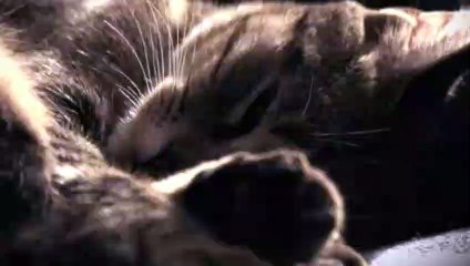 고창출장타이O7Os7333s9649｛카톡LGT010｝ぱ고창출장안@마ぱ고창출장샵ぱ고창출장맛사지 ぱ고창출장걸썰 고창출장걸가격 고창출장러시아 고창외국인후불출장업소 고창24시출장마사지샵'예약ヂッツ