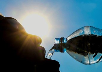 Des pointes à 42 degrés : ce qu'il faut savoir sur cette semaine de canicule