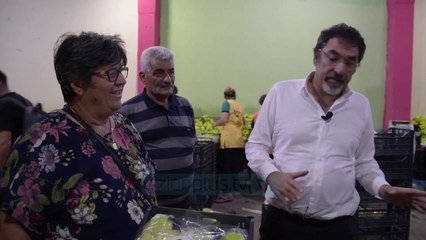 Çuçi: Frutat e perimet drejt vendeve të BE - News, Lajme - Vizion Plus