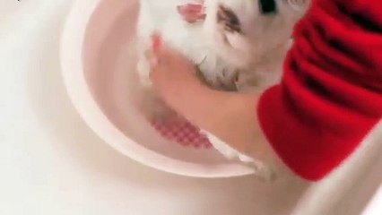 서초출장안마 -후불100%ョO7Os7301s9649｛카톡LA666｝ 서초전지역출장안마 서초오피걸 서초출장마사지 서초안마 서초출장마사지 서초콜걸샵⊙♤℉