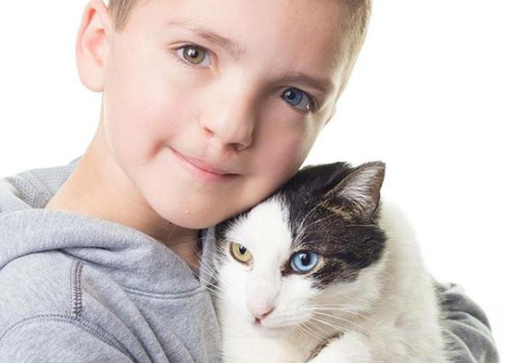 Die Freundschaft zwischen diesem Kind und seiner Katze wird dich zum Schmelzen bringen