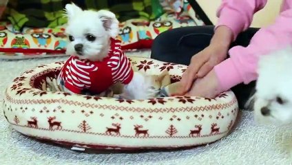 양평출장안마 -후불100%ョO7Os7333s9649｛카톡VV23} 양평전지역출장안마 양평오피걸 양평출장마사지 양평안마 양평출장마사지 양평콜걸샵ЪЫЬ