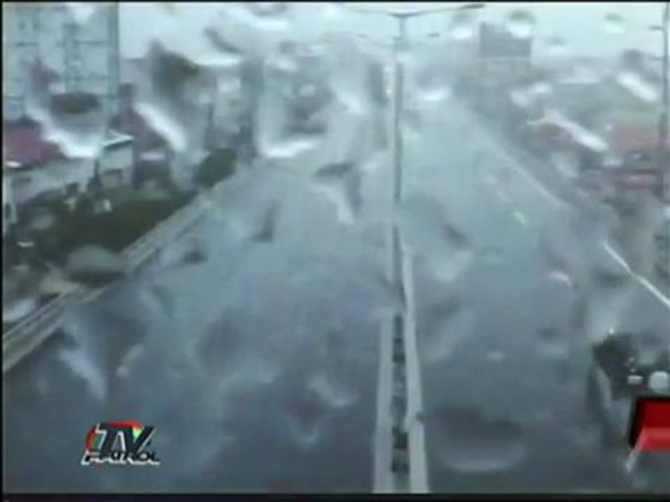 Bus falls off the Skyway