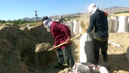 Saman işçilerinin kavurucu sıcaktaki ekmek mücadelesi