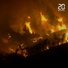 Portugal: Plus de 1.700 pompiers mobilisés pour lutter contre un incendie d'une «extraordinaire difficulté»
