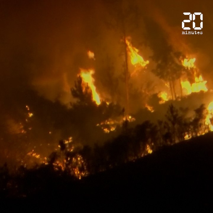 Portugal: Plus de 1.700 pompiers mobilisés pour lutter contre un incendie d'une «extraordinaire difficulté»