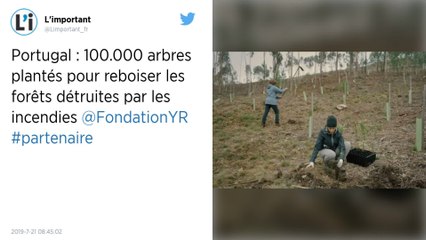 Incendies au Portugal : « La situation est encore très grave »