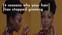 4 reasons why your hair has stopped growing