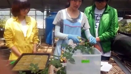 영월출장안마 -후불100%ョOiOs2671s8135｛카톡ZHF526｝ 영월전지역출장안마 영월오피걸 영월출장마사지 영월안마 영월출장마사지 영월콜걸샵トドナ