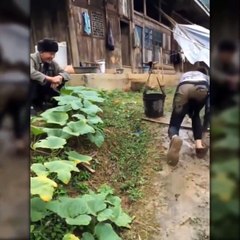 1001 CLIP ITS BEST P3