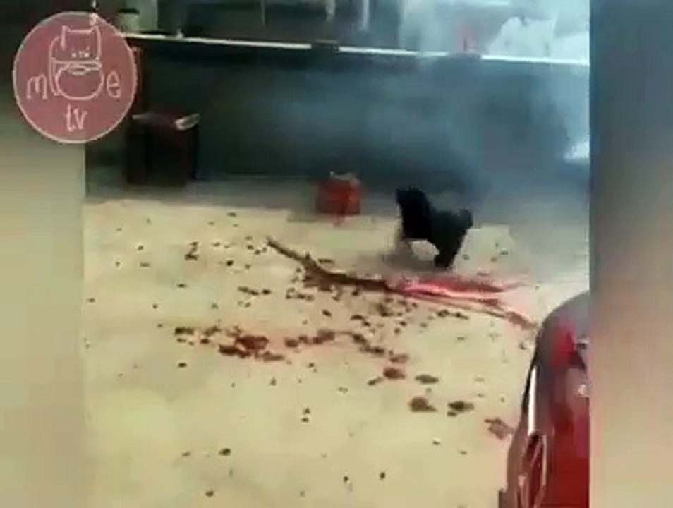 Đây là Boss khi hay tin người yêu cũ bị bồ đá