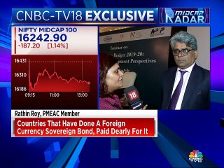 PMEAC member Rathin Roy says government should rethink sovereign bond plan