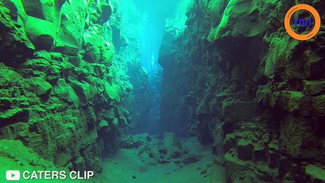 Ils plongent entre 2 plaques tectoniques et c’est magnifique !