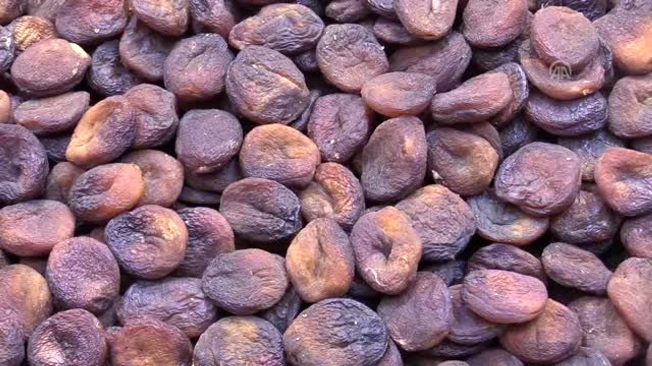 Gün kurusu kayısı, deney hayvanlarının karaciğerini yeniledi