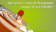 Microdrome : Que pensez-vous de la monnaie unique de la CEDEAO ?