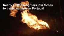 Nearly 2,000 firefighters battle forest fires in central Portugal