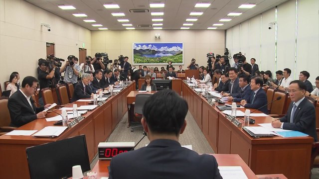 국회 외통위, 만장일치로 '日 수출 규제 철회 촉구 결의안' 채택 / YTN