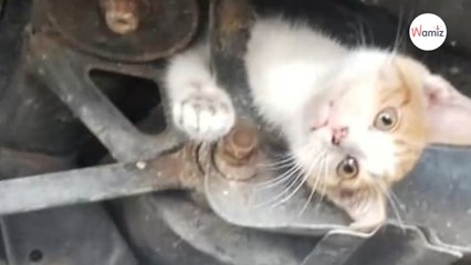 Il se précipite au garage : les mécaniciens sont sans voix quand ils démontent la voiture !