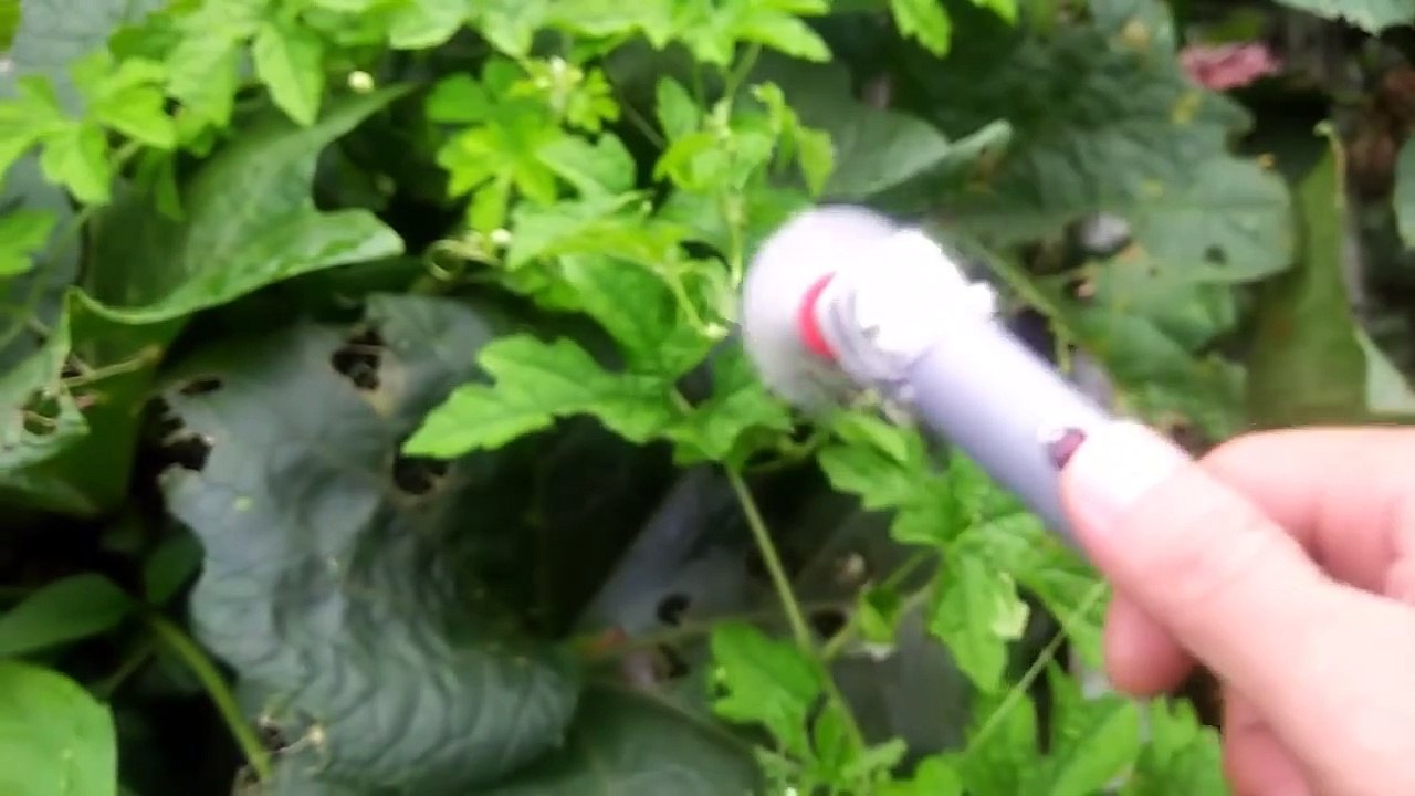 How to make a powerful grass cutter _ Chế máy cắt cỏ mini cầm tay _ Win - Bao Nguyen