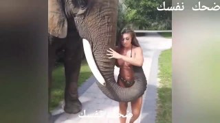 elephants and girls