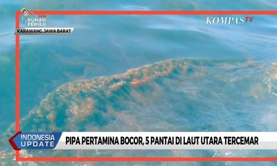 Pipa Pertamina Bocor, 5 Pantai di Laut Utara Karawang Tercemar