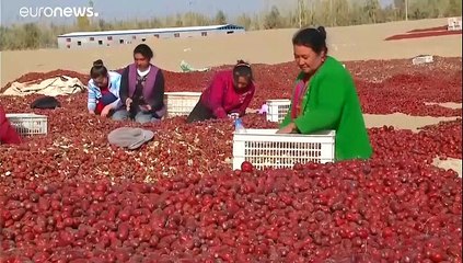 الصين: الإسلام لم يكن المعتقد الأصلي للإيغور ونسبهم للأتراك خطأ