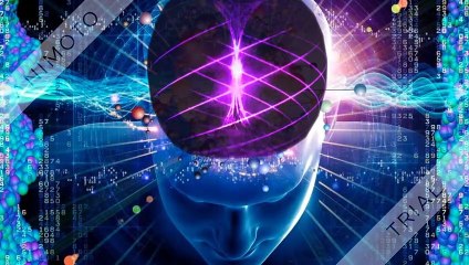 Neural Fusion - Boost Your Brain Power