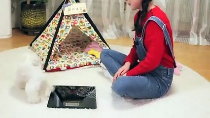 상당구출장안마 -후불100%ョØ1ØA2997A5327｛카톡QR091｝ 상당구전지역출장안마 상당구오피걸 상당구출장마사지 상당구안마 상당구출장마사지 상당구콜걸샵ゐゑを