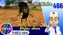 THVL | Dr. Khỏe - Tập 466: Đậu đen - Phần 1