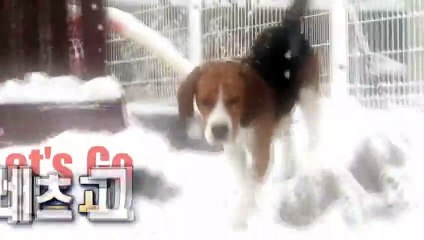 의정부출장타이070c5180c1620｛카톡XI74｝ぱ의정부출장안@마ぱ의정부출장샵ぱ의정부출장맛사지 ぱ의정부출장걸썰 의정부출장걸가격 의정부출장러시아 의정부외국인후불출장업소 의정부24시출장마사지샵'예약すずせ