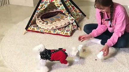 광산구출장안마 -후불100%ョO7Os7575s0062｛카톡DDR88｝ 광산구전지역출장안마 광산구오피걸 광산구출장마사지 광산구안마 광산구출장마사지 광산구콜걸샵みめも