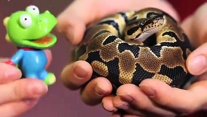 송도출장타이OiOs2671s8135｛카톡ZHF526｝ぱ송도출장안@마ぱ송도출장샵ぱ송도출장맛사지 ぱ송도출장걸썰 송도출장걸가격 송도출장러시아 송도외국인후불출장업소 송도24시출장마사지샵'예약◆↓∈