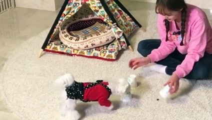 마포출장안마 -후불100%ョOiOE7362E3210｛카톡VR91｝ 마포전지역출장안마 마포오피걸 마포출장마사지 마포안마 마포출장마사지 마포콜걸샵ろゎわ