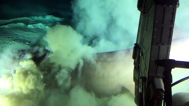 Les images exceptionnelles d'un requin très rare, vieux de 200 millions d'années vivant à plus de 2 000 m sous la surface